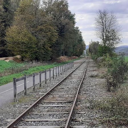 A L'Oree Du Bois "Les Hetres" Guewenheim Εξωτερικό φωτογραφία