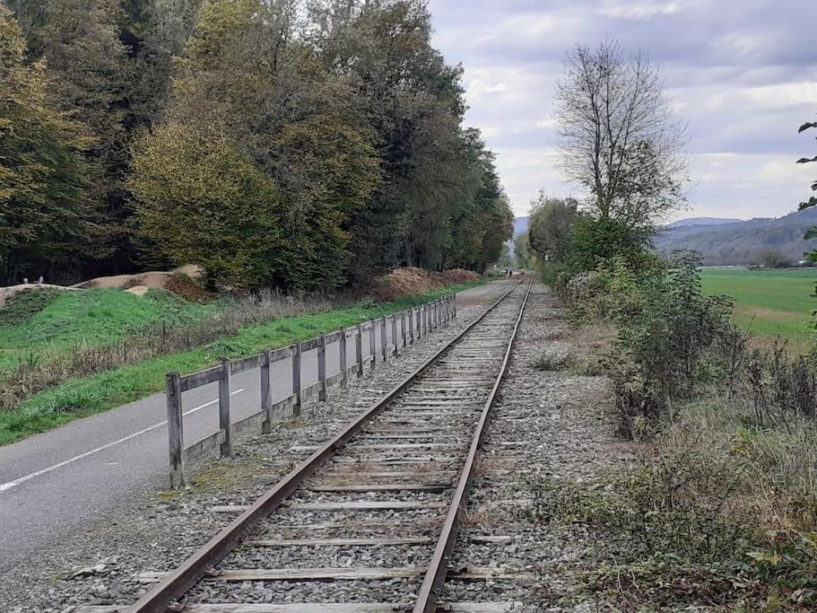 A L'Oree Du Bois "Les Hetres" Guewenheim Εξωτερικό φωτογραφία